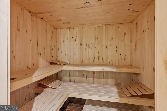 6068 Stoney Hill Rd, New Hope, PA 18938 - view of sauna