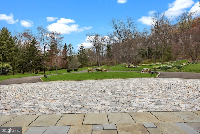 6068 Stoney Hill Rd, New Hope, PA 18938 - view of home's community with a lawn