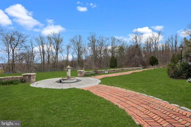 6068 Stoney Hill Rd, New Hope, PA 18938 - view of yard