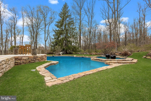 6068 Stoney Hill Rd, New Hope, PA 18938 - pool with a lawn and an in ground hot tub