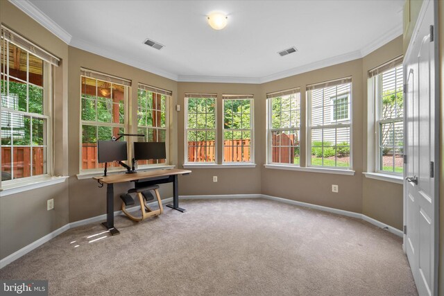 home office featuring plenty of natural light, carpet flooring, crown molding, and baseboards