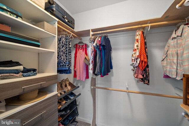 view of walk in closet