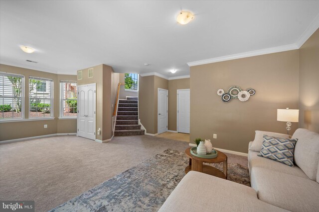 living area with carpet floors, stairway, baseboards, and crown molding