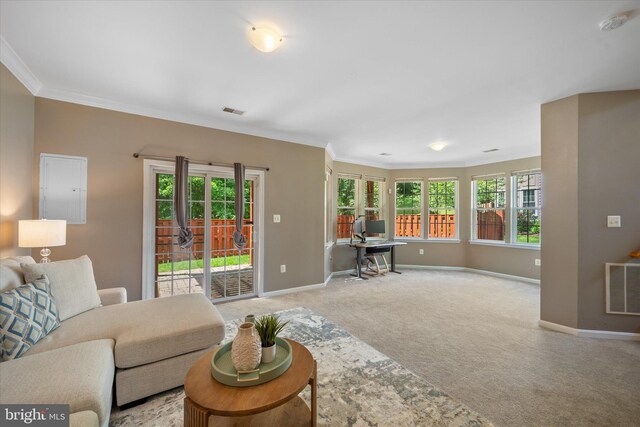living area with carpet flooring, ornamental molding, and baseboards
