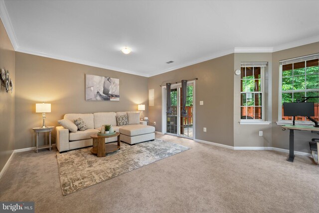 carpeted living room featuring ornamental molding and baseboards