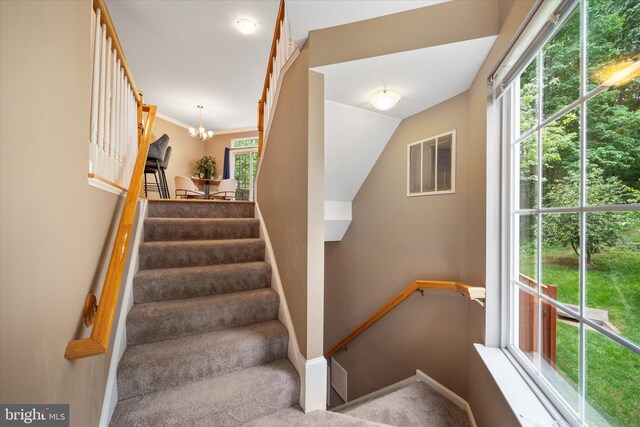 stairs featuring baseboards, a chandelier, and carpet flooring