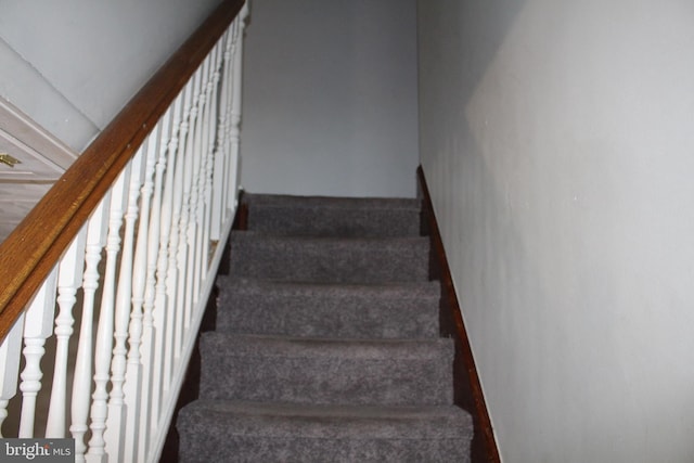 staircase with carpet floors