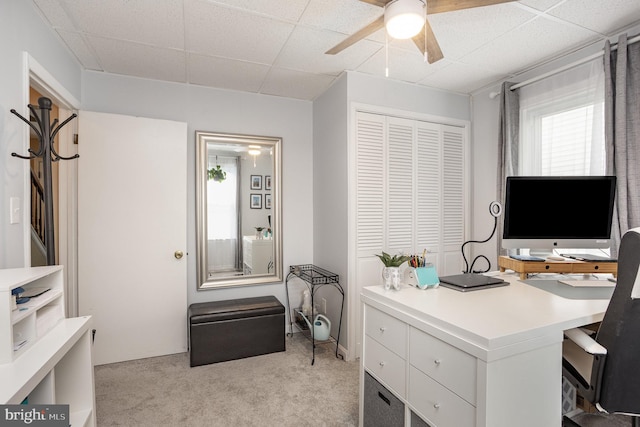 office space featuring ceiling fan, light colored carpet, and a drop ceiling