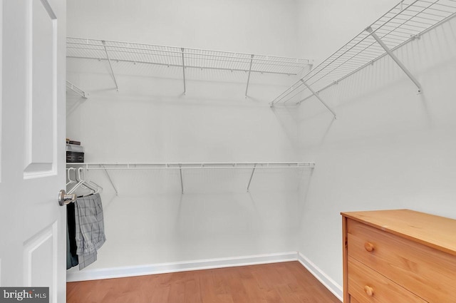 14 Goddard Dr, Cranbury, NJ 08512 - spacious closet with wood finished floors