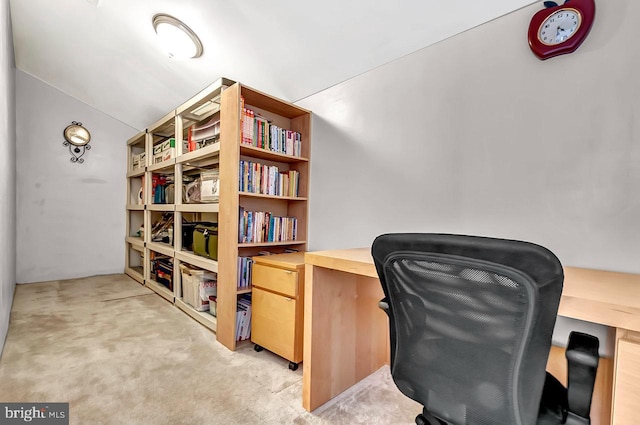 14 Goddard Dr, Cranbury, NJ 08512 - office space with light carpet