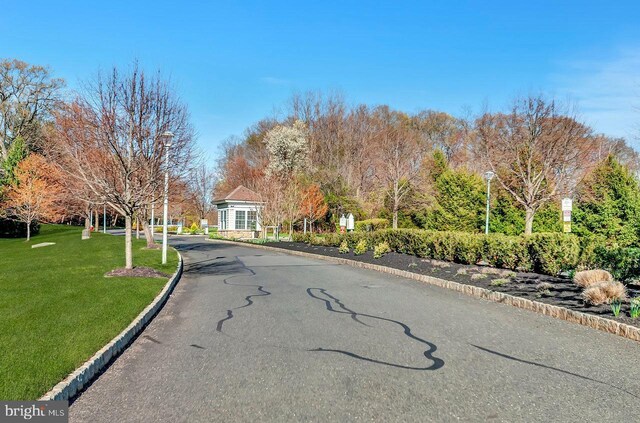 14 Goddard Dr, Cranbury, NJ 08512 - view of road with street lights and curbs