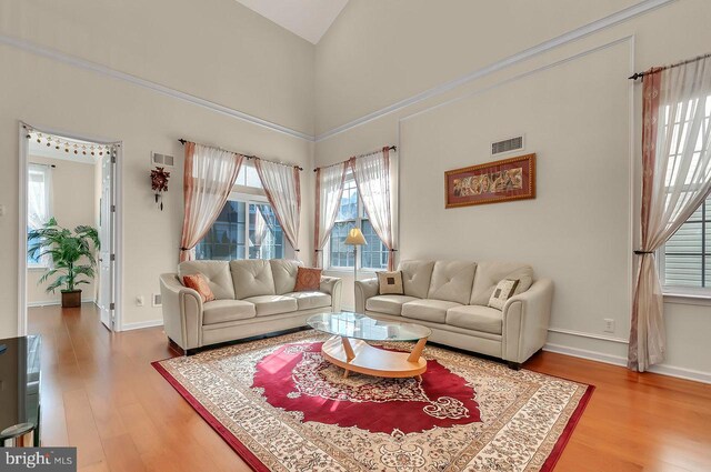 14 Goddard Dr, Cranbury, NJ 08512 - living room with light wood finished floors, baseboards, and high vaulted ceiling