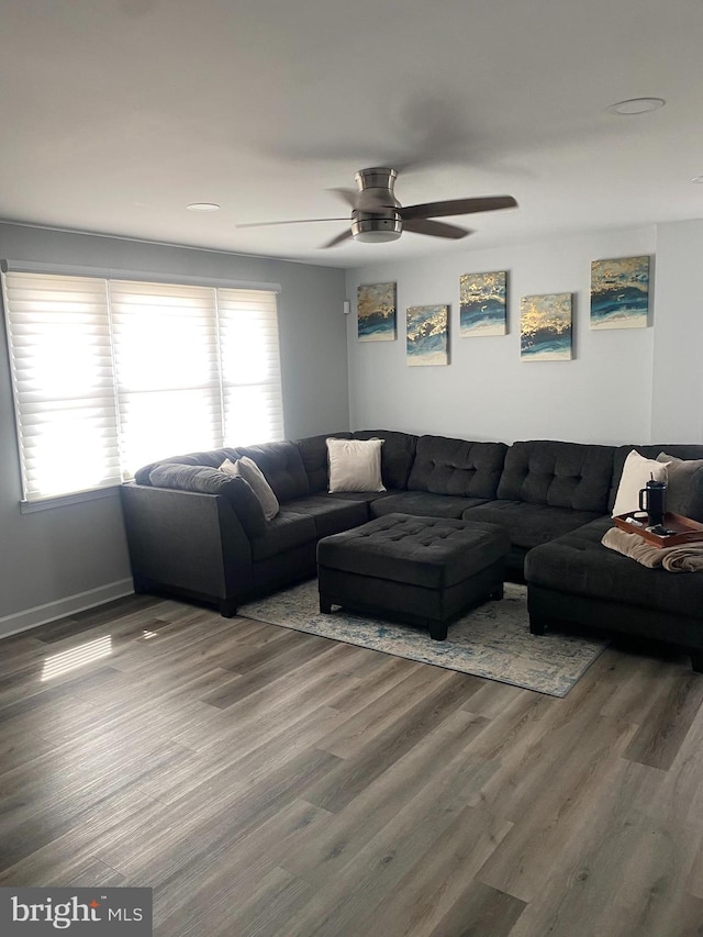 living area featuring wood finished floors, ceiling fan, and a wealth of natural light