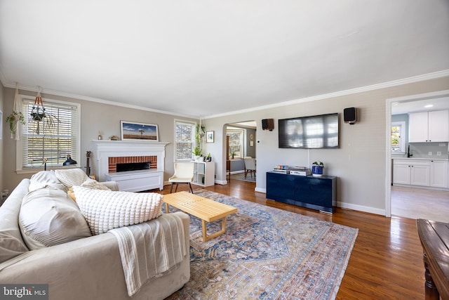 living room featuring baseboards, ornamental molding, wood finished floors, and a fireplace