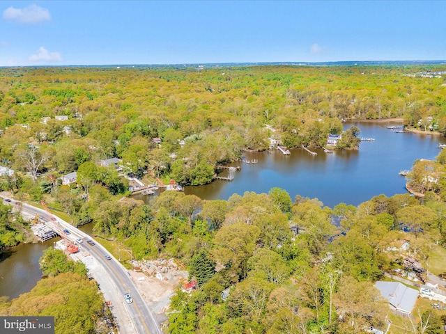 268 Magothy Bridge Rd, Pasadena, MD 21122 - birds eye view of property featuring a water view and a forest view