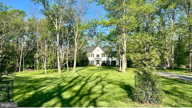 view of green lawn