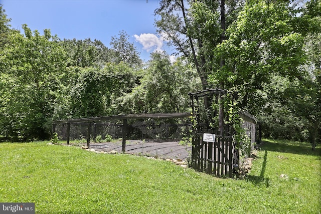 view of grassy yard