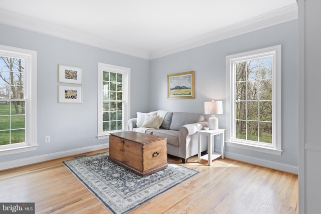 living area with baseboards, light wood-style flooring, and crown molding