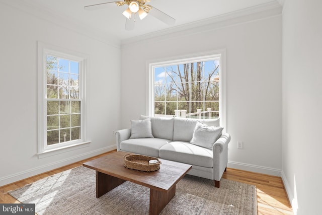 living area featuring healthy amount of natural light, crown molding, ceiling fan, baseboards, and light wood-style flooring