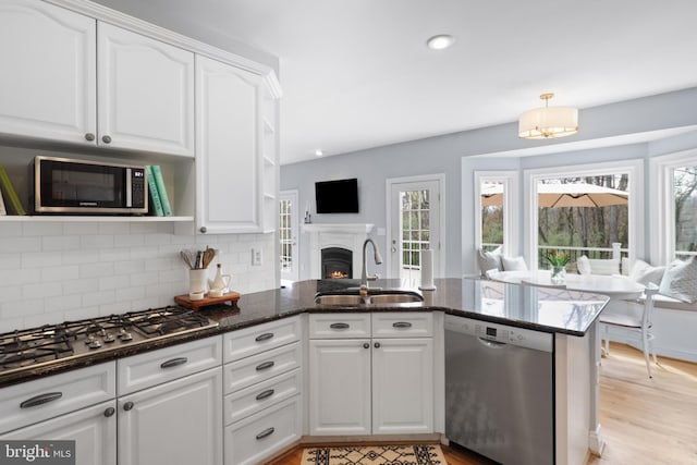 kitchen featuring stainless steel appliances, a sink, plenty of natural light, a lit fireplace, and recessed lighting