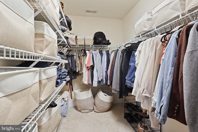 walk in closet with carpet