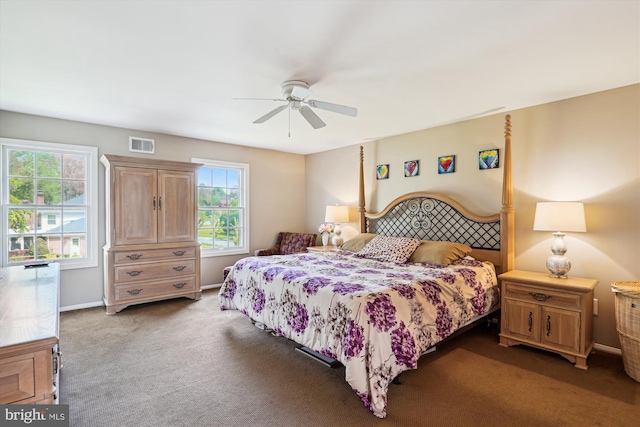 9000 Hunting Horn Ln, Potomac, MD 20854 - bedroom featuring multiple windows, carpet flooring, ceiling fan, and baseboards
