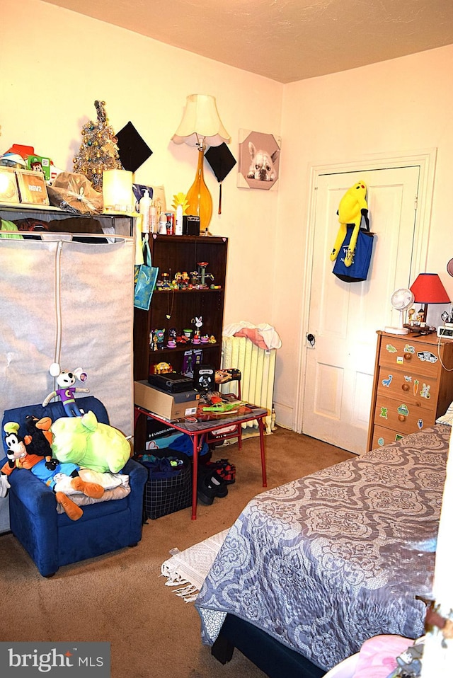 140 Baltimore St, Hanover, PA 17331 - carpeted bedroom with radiator heating unit