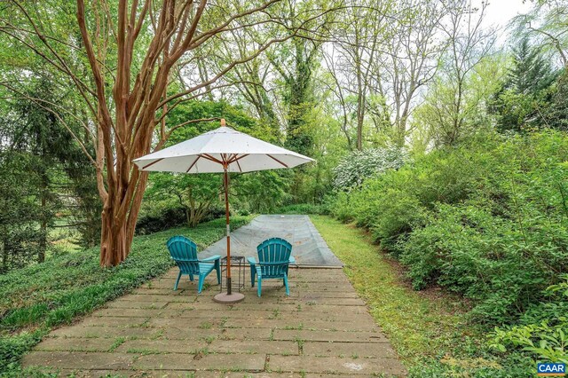 1112 Park St, Charlottesville, VA 22901 - view of patio / terrace