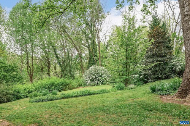 1112 Park St, Charlottesville, VA 22901 - view of yard