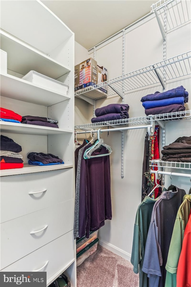9409 Emory Grove Rd, Gaithersburg, MD 20877 - spacious closet featuring carpet