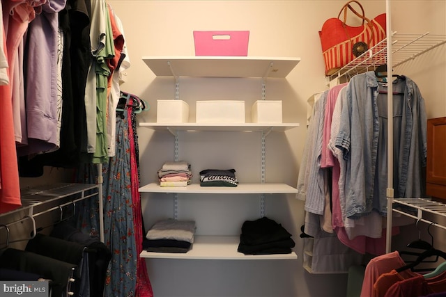 9409 Emory Grove Rd, Gaithersburg, MD 20877 - view of walk in closet