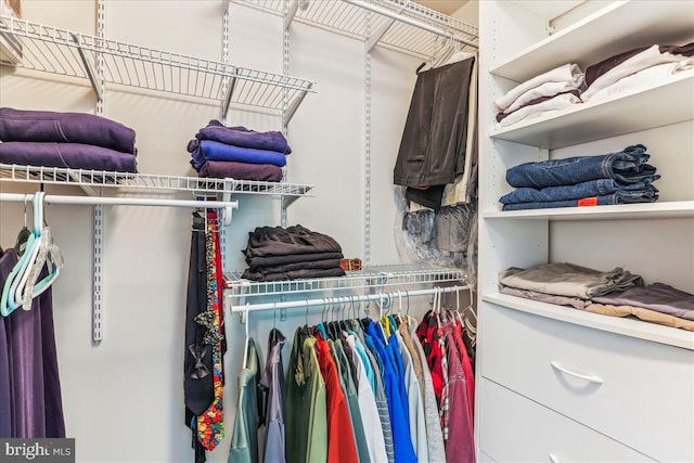 9409 Emory Grove Rd, Gaithersburg, MD 20877 - view of walk in closet