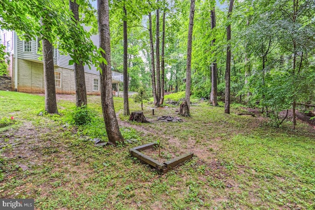 9409 Emory Grove Rd, Gaithersburg, MD 20877 - view of yard