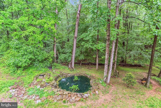 9409 Emory Grove Rd, Gaithersburg, MD 20877 - view of yard featuring a view of trees