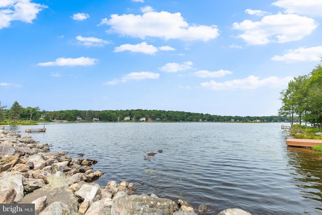 2914 Fairhaven Dr, Tobyhanna, PA 18466 - property view of water featuring a boat dock
