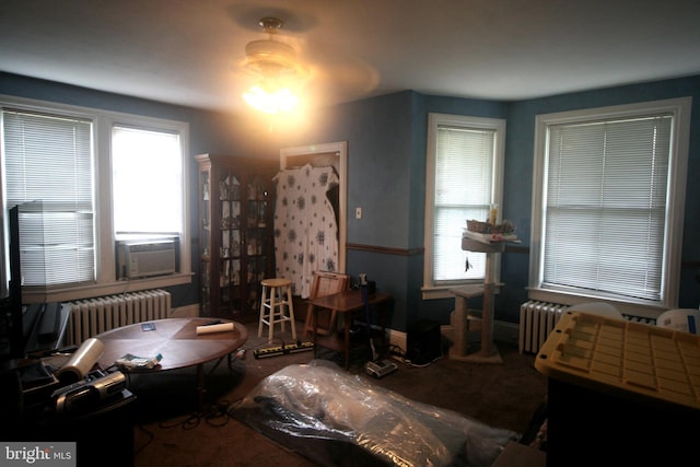 927 Bellevue Ave, Penndel, PA 19047 - bedroom with radiator, multiple windows, and cooling unit