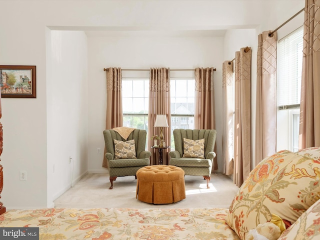 11110 Chambers Ct Unit N, Woodstock, MD 21163 - living area with light carpet and a wealth of natural light
