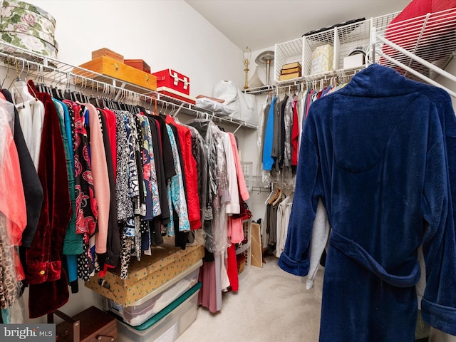 11110 Chambers Ct Unit N, Woodstock, MD 21163 - spacious closet with carpet flooring