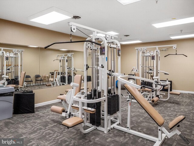 11110 Chambers Ct Unit N, Woodstock, MD 21163 - exercise room with baseboards and carpet
