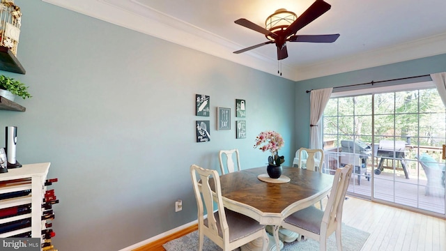 dining area with ornamental molding, a ceiling fan, and light wood-type flooring