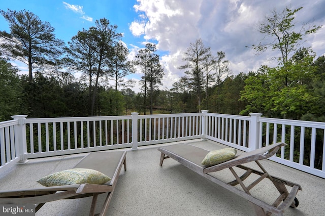 23280 Horse Island Rd, Lewes, DE 19958 - view of patio