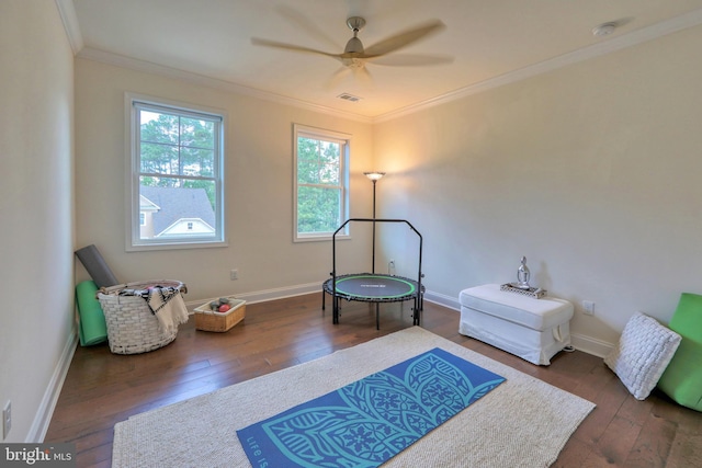 23280 Horse Island Rd, Lewes, DE 19958 - living area featuring hardwood / wood-style floors, crown molding, a ceiling fan, and baseboards