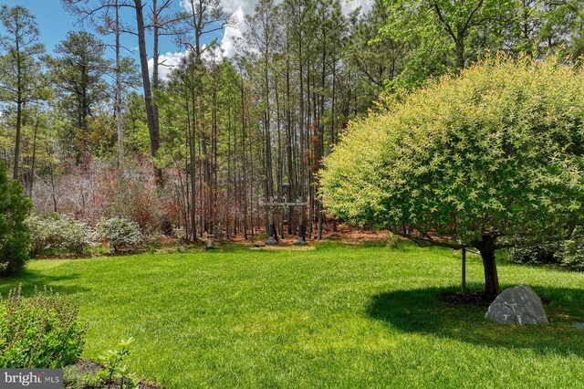 23280 Horse Island Rd, Lewes, DE 19958 - view of green lawn