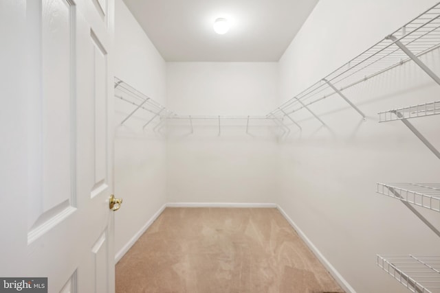 spacious closet with light carpet