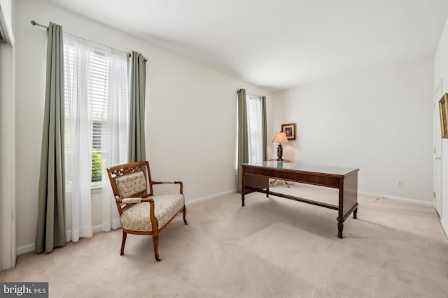 office featuring plenty of natural light, baseboards, and carpet