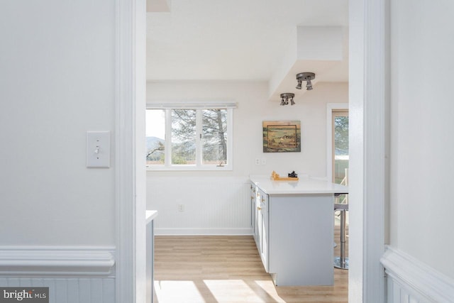 interior space with a wainscoted wall and wood finished floors