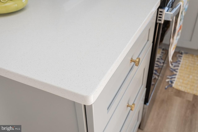 details featuring light countertops and wood finished floors