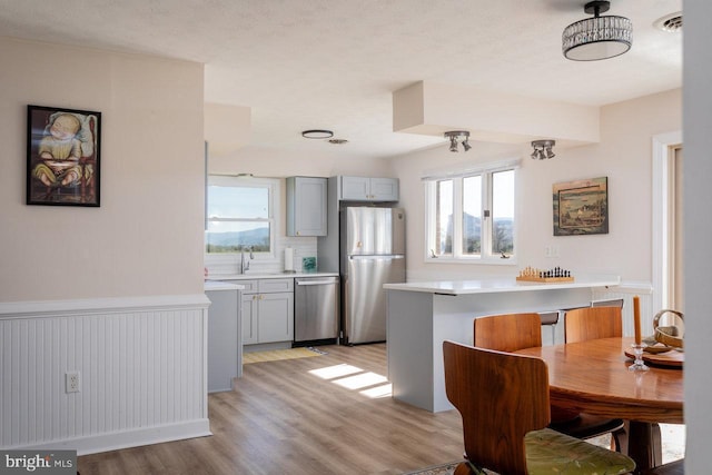 kitchen featuring a sink, light countertops, light wood-type flooring, appliances with stainless steel finishes, and gray cabinets