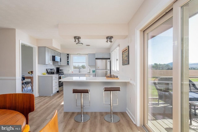 kitchen with gray cabinets, light wood-style floors, appliances with stainless steel finishes, and a peninsula