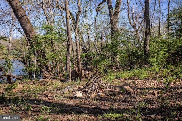 view of nature